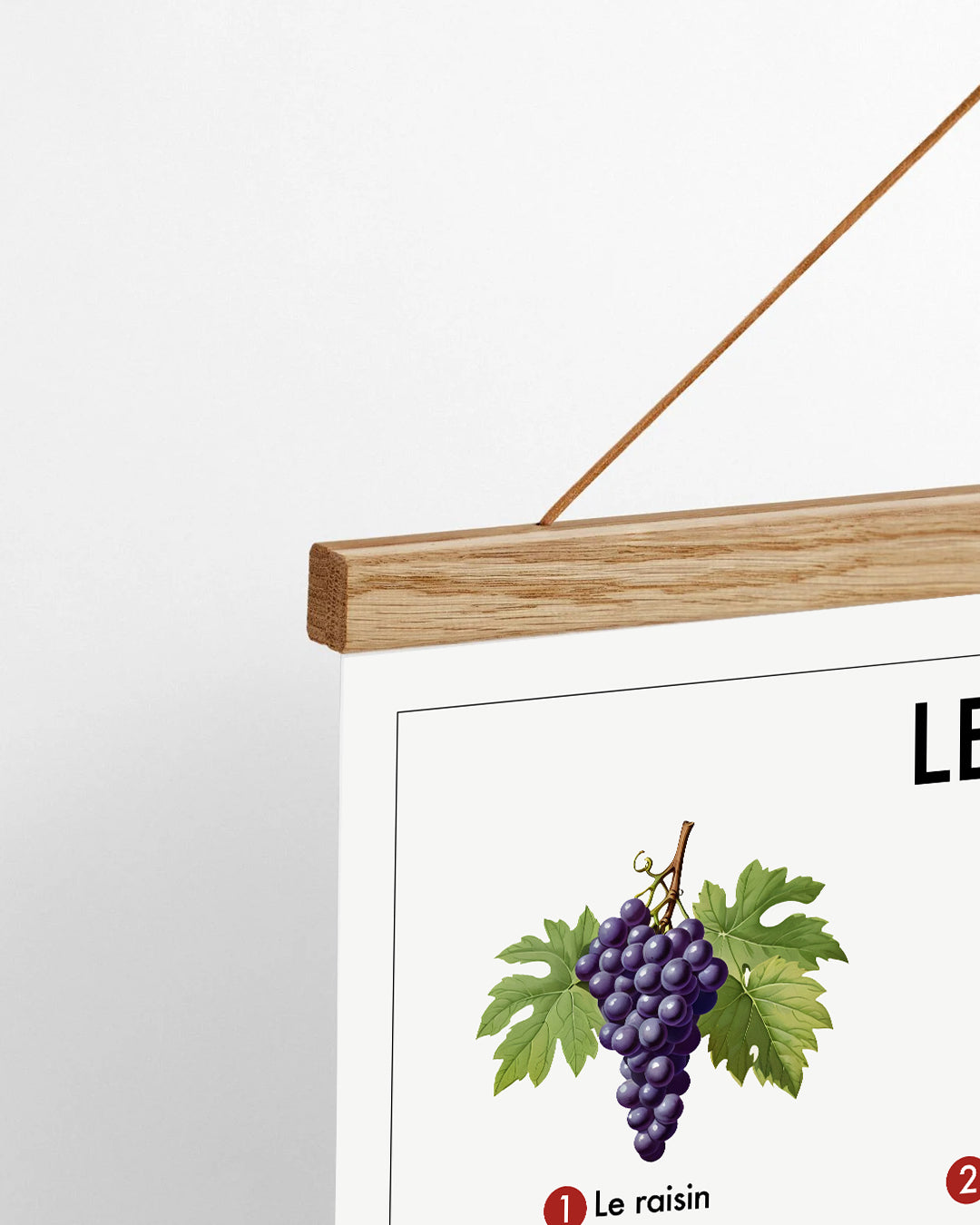 Planche pédagogique - Le vin