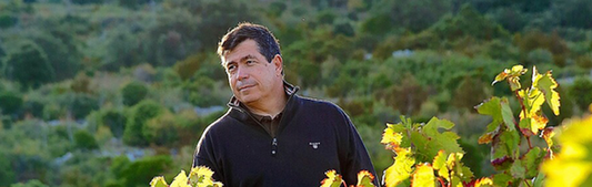 hervé bizeul