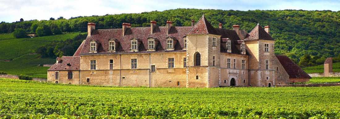 chateau clos de vougeot en bourgogne