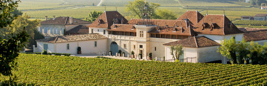 chateau angélus saint emilion