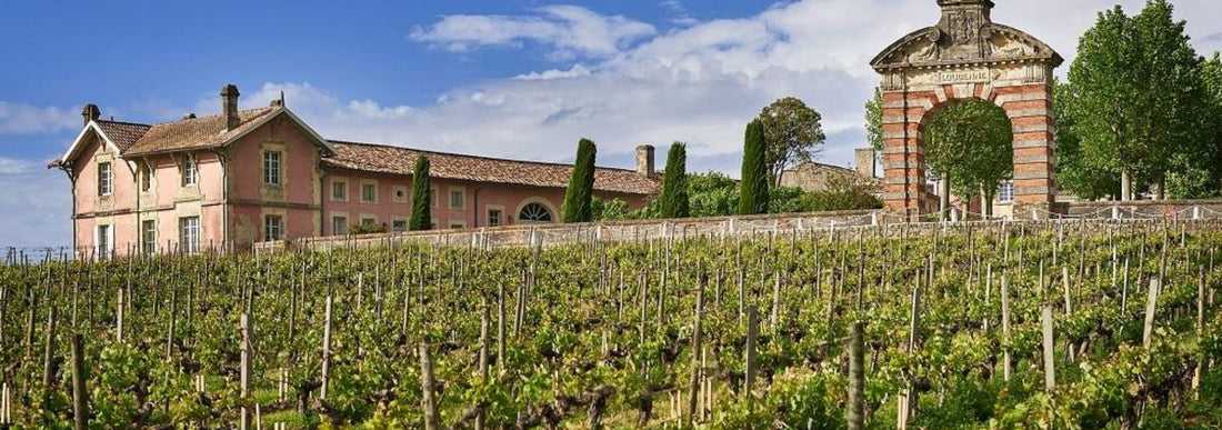 cave vignoble médoc