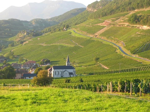 vignoble savoie