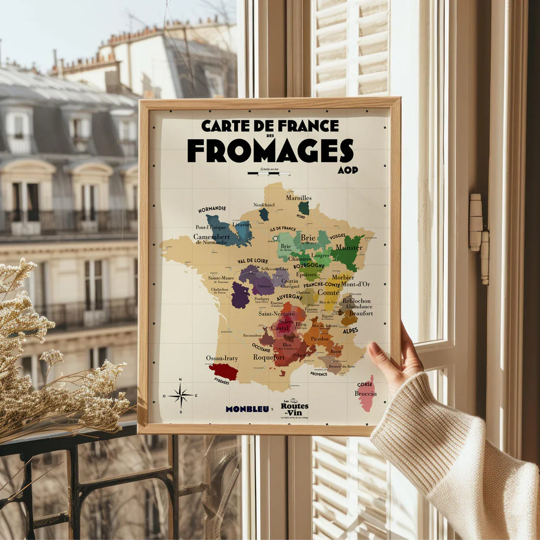carte france fromages aop