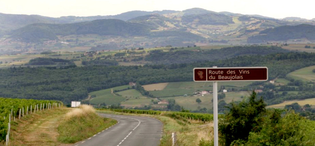 route des vins beaujolais
