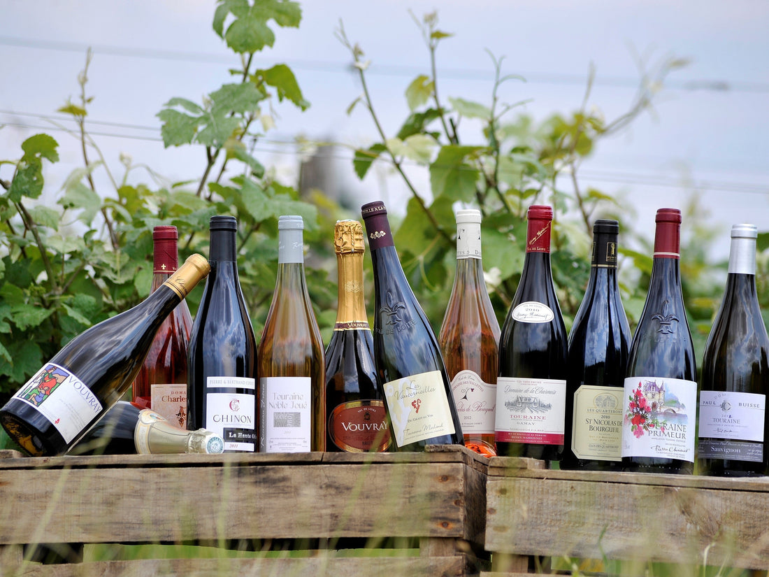 Les 10 meilleurs vins de Loire : notre sélection