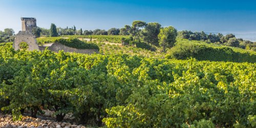 chateauneuf du pape
