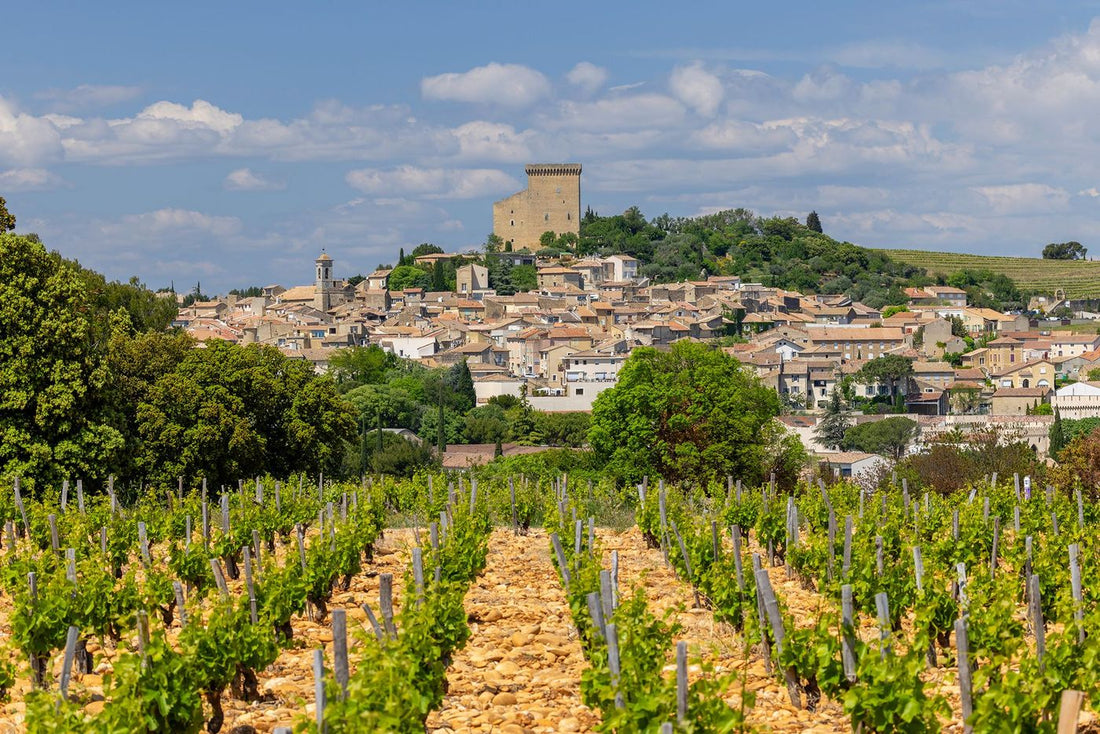 Vignes sur galets roulés au pied du village de Châteauneuf-du-Pape et de la tour du château des Papes