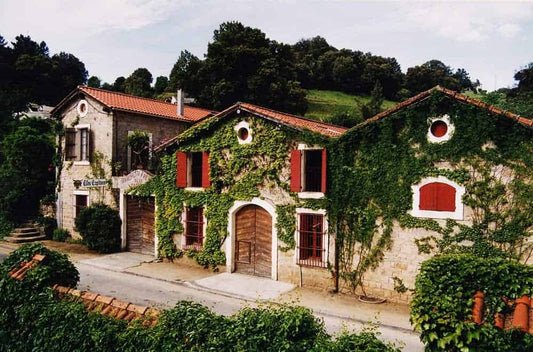 Domaine Orenga de Gaffory à Patrimonio, vignes et cave entourées de maquis corse