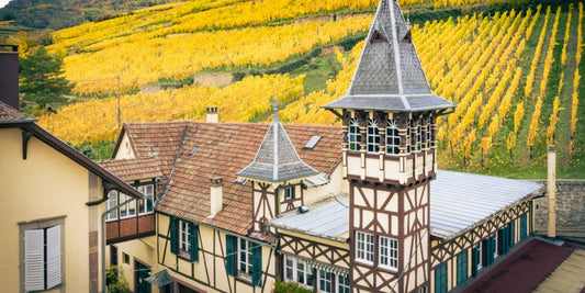 cave trimbach alsace