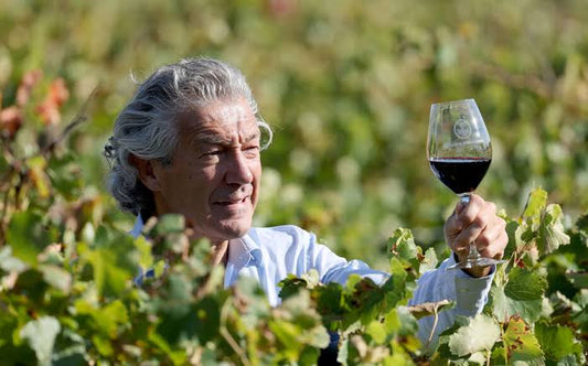 gérard bertrand dans ses vignes