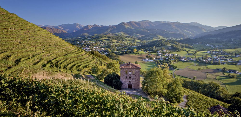 vignes irouléguy sud ouest