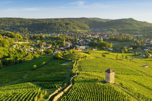 Vignobles du Jura avec vue sur les coteaux et le village de Château-Chalon