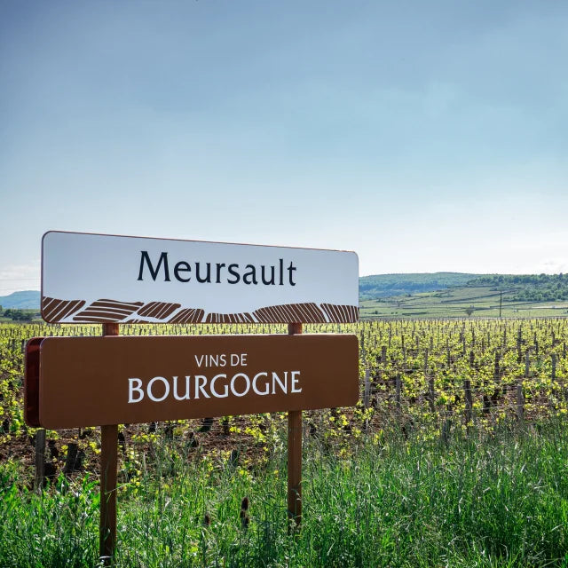 panneau vin bourgogne