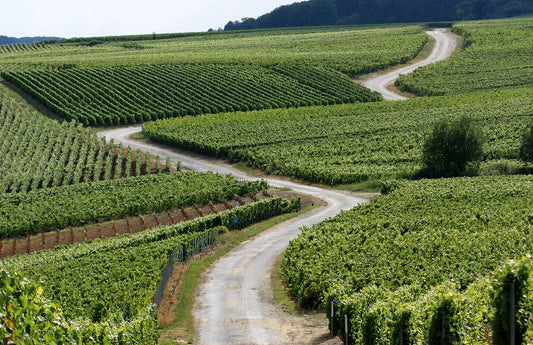route des vins champagne
