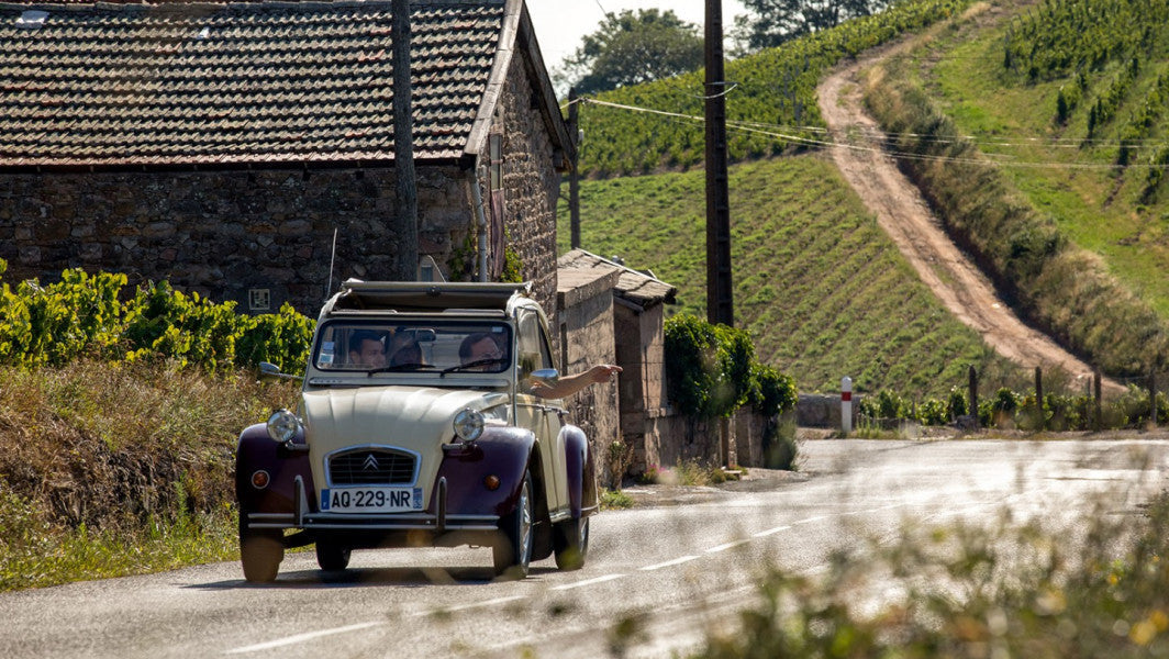 Vignobles et caves du Beaujolais sur la route des 10 crus
