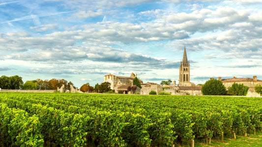 vignoble saint emilion