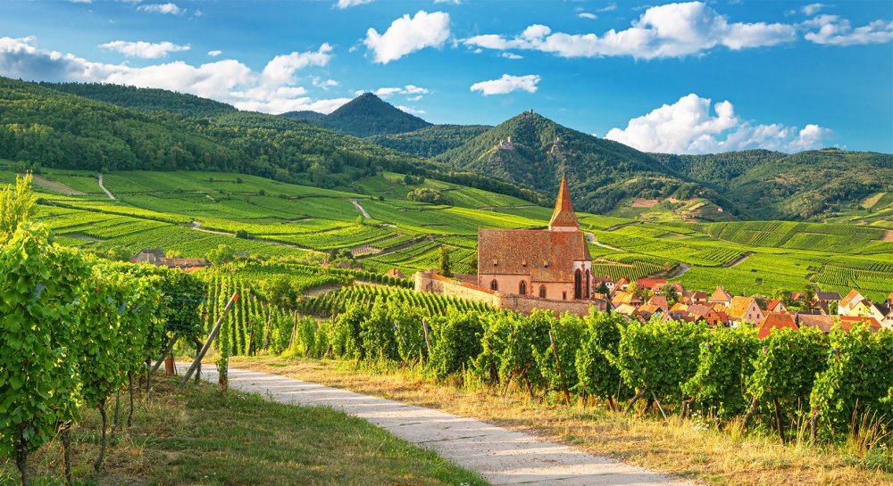 vignoble alsace