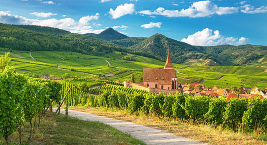 vignoble alsace