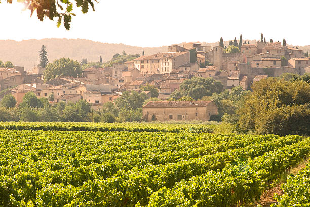 Sélection des meilleurs vins de Provence - Bandol, Cassis et Côtes de Provence