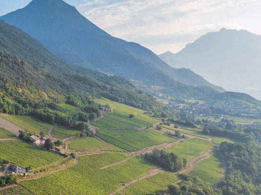 Vignoble de Savoie avec vue sur les montagnes des Alpes