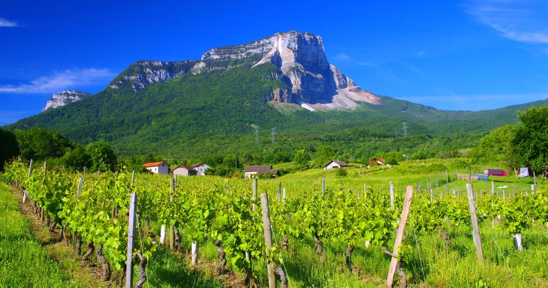 vignoble savoie