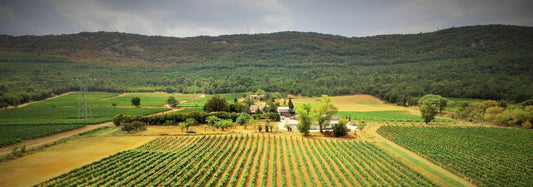 vignoble-provence