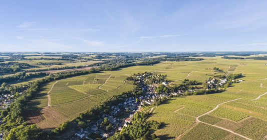 vignes vouvray loire