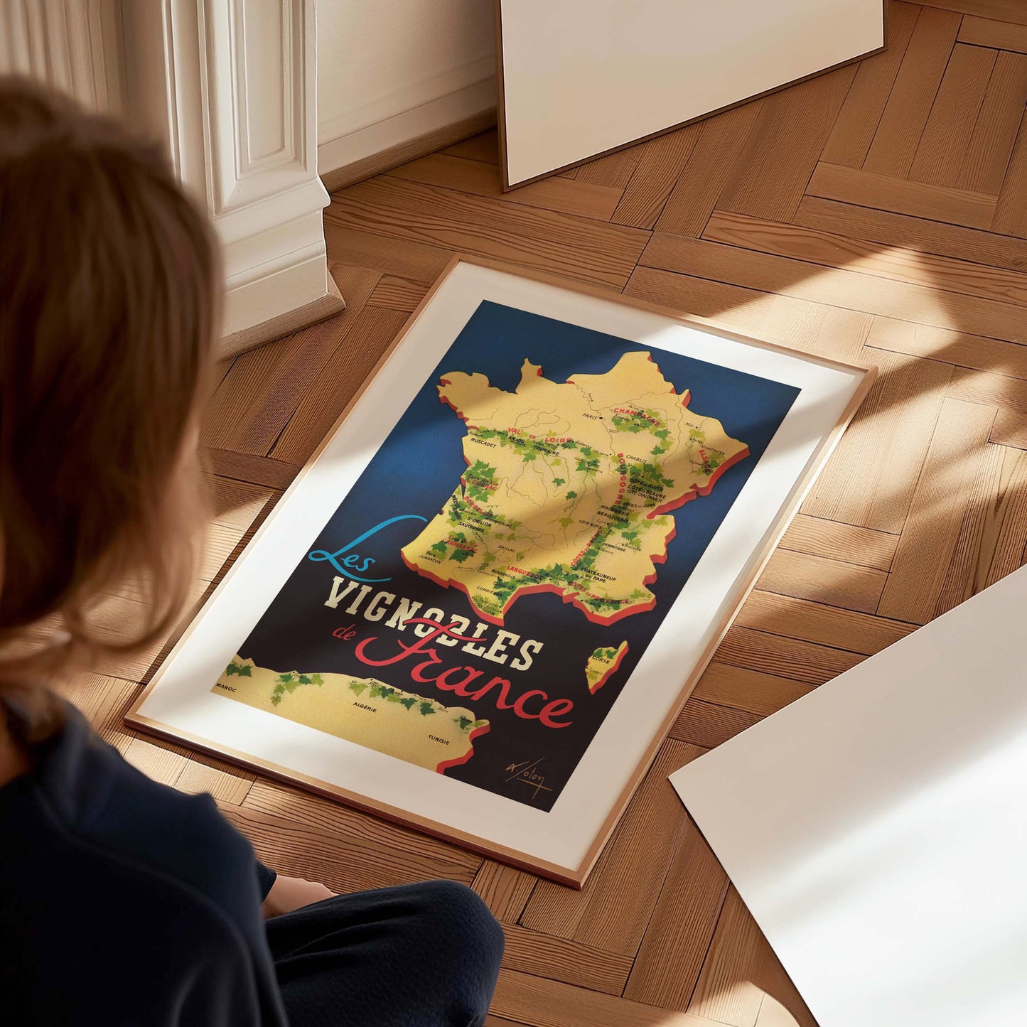 Affiche Les Vignobles de France