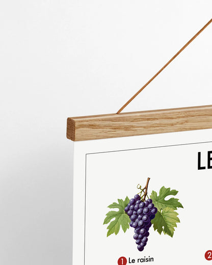Planche pédagogique - Le vin