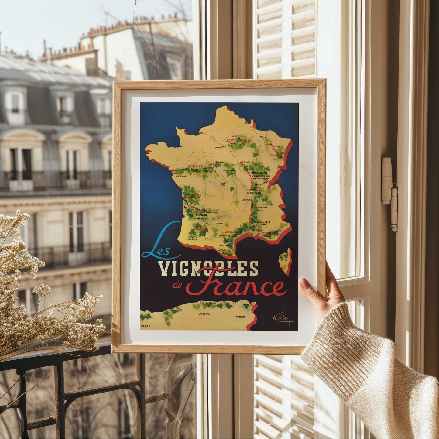 Affiche Les Vignobles de France
